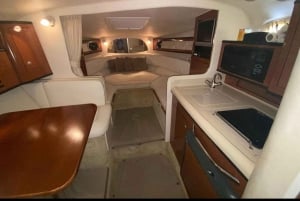 Miami: Day or Night Private Boat Rental/Tour with Captain