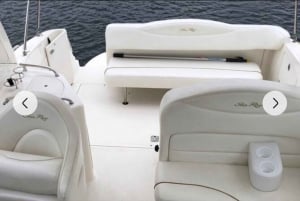 Miami: Day or Night Private Boat Rental/Tour with Captain