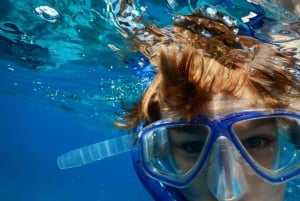 Miami: Day Trip to Key West w/ Dolphin Watching & Snorkeling