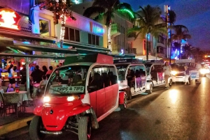 Miami: Discover South Beach Tour