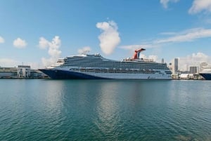 Miami Discovery Tour: 2-Days Hop-On Hop-Off Explore Your Way