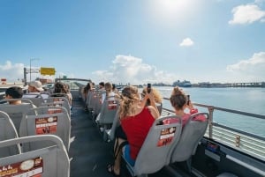 Miami Discovery Tour: 2-Days Hop-On Hop-Off Explore Your Way