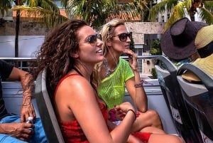 Miami Discovery Tour: 2-Days Hop-On Hop-Off Explore Your Way