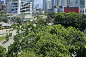 Miami Discovery Tour: 2-Days Hop-On Hop-Off Explore Your Way
