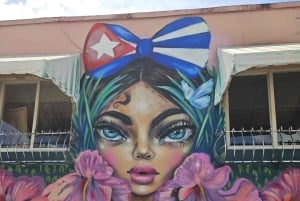 Miami Discovery Tour: 2-Days Hop-On Hop-Off Explore Your Way