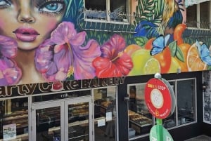 Miami Discovery Tour: 2-Days Hop-On Hop-Off Explore Your Way