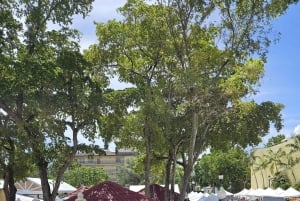 Miami Discovery Tour: 2-Days Hop-On Hop-Off Explore Your Way