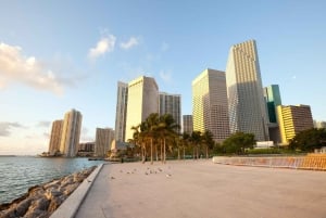 Privat guidad promenad i centrala Miami