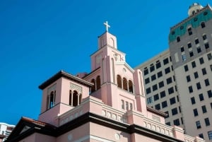 Privat guidad promenad i centrala Miami