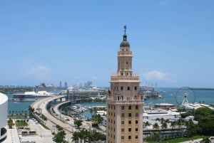 Privat guidad promenad i centrala Miami