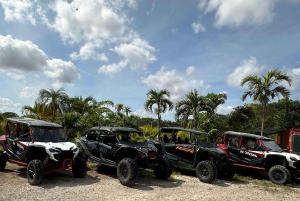 Miamis ultimata buggyäventyr på en Honda Talon UTV