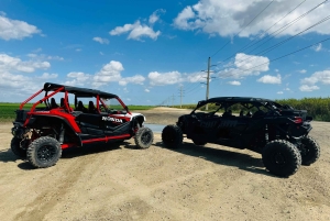 La última aventura en buggy de Miami en un UTV Honda Talon