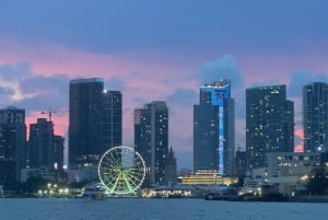 Miami Evening Sunset Cruise Millionaire Homes+Skyline Lights