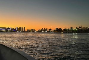 Miami Evening Sunset Cruise Millionaire Homes+Skyline Lights