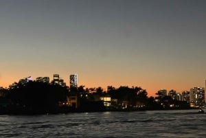 Miami Evening Sunset Cruise Millionaire Homes+Skyline Lights