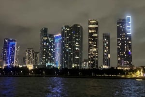 Miami Evening Sunset Cruise Millionaire Homes+Skyline Lights