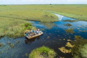 Miami: Everglades 4-Hour Private Airboat Tour with Pickup