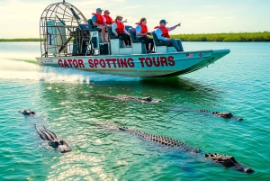 Miami: reserva de vida silvestre y paseo en hidrodeslizador por los Everglades