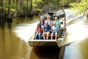 Miami: reserva de vida silvestre y paseo en hidrodeslizador por los Everglades