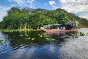 Miami: Bote de aire en los Everglades, encuentro con caimanes y traslado en autobús