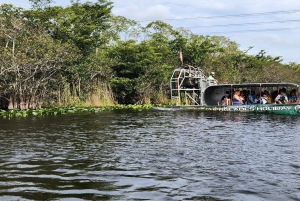 Miami: Bote de aire en los Everglades, encuentro con caimanes y traslado en autobús