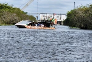 Miami: Bote de aire en los Everglades, encuentro con caimanes y traslado en autobús