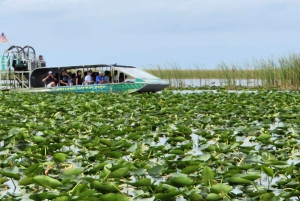 Miami: Bote de aire en los Everglades, encuentro con caimanes y traslado en autobús