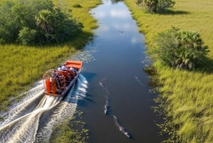 Miami: Everglades moerasboot, alligatorervaring met transfer