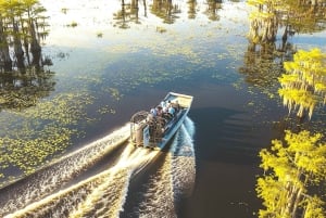 Miami: Everglades moerasboot, alligatorervaring met transfer