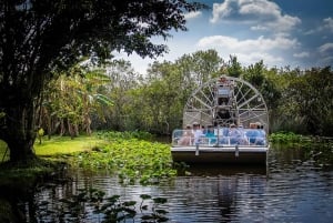 Miami: Everglades moerasboot, alligatorervaring met transfer