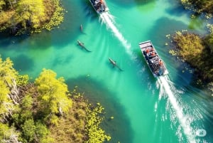 Miami: Everglades moerasboot, alligatorervaring met transfer