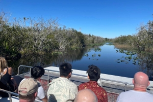 Miami: Everglades Airboat, Photo & Gator Experience