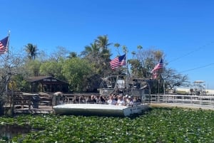 Miami: Everglades Airboat, foto og alligator-oplevelse