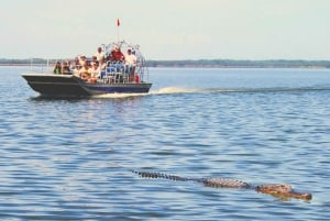 Miami: Everglades Airboat, foto og alligatoropplevelse