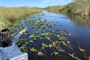 Miami: Everglades Airboat, foto og alligator-oplevelse