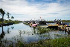 Miami: Everglades Airboat, Photo & Gator Experience