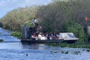 Miami : Les Everglades en canot pneumatique, photo et expérience avec les alligators