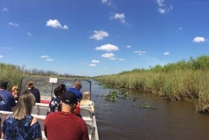 Miami: Everglades Airboat, foto och Gator-upplevelse