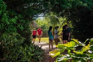Miami: Everglades Airboat, Photo & Gator Experience