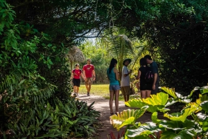 Miami: Everglades Airboat, Photo & Gator Experience