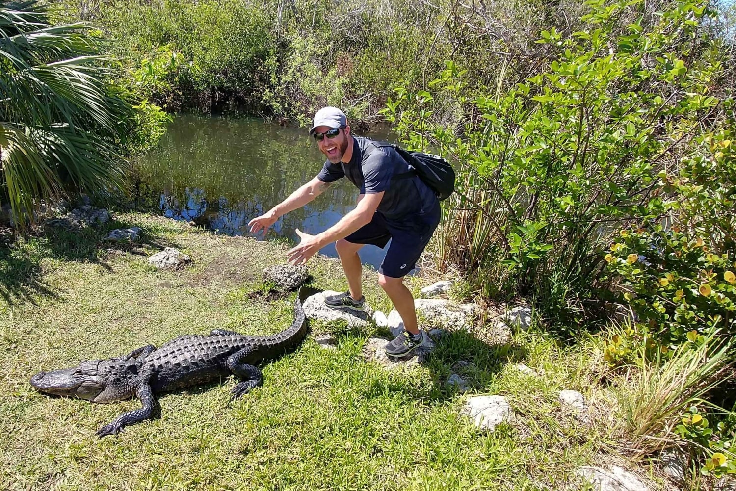 Miami: Everglades Airboat Ride and Tram Tour