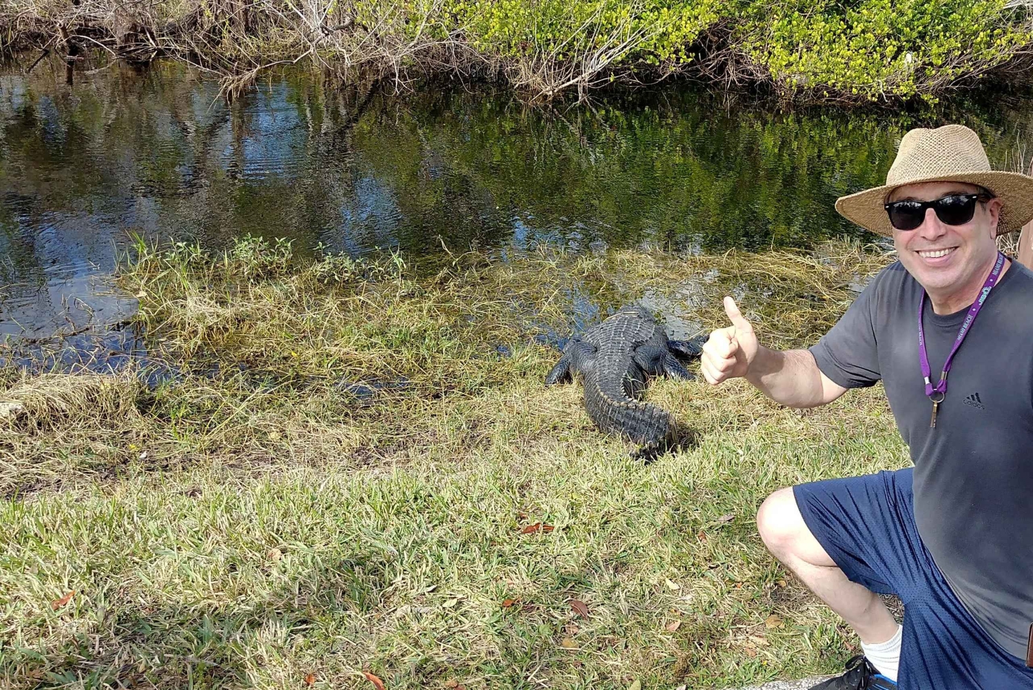 Miami: Everglades Airboat Ride and Tram Tour