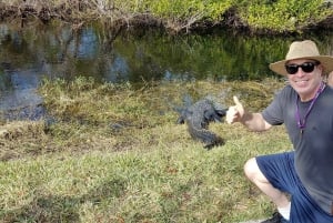 Miami: Everglades Airboat Ride and Tram Tour