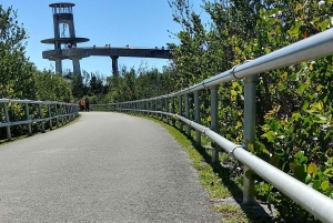 Miami: Everglades Airboat Ride and Tram Tour