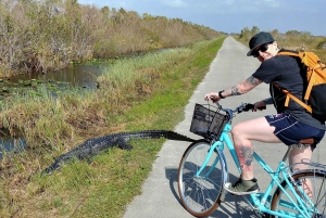 Miami: Everglades E-Bike Exploration with Airboat.