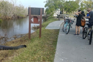 Miami: Everglades E-Bike Exploration with Airboat.