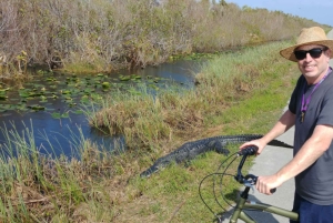 Miami: Everglades E-Bike Exploration with Airboat.