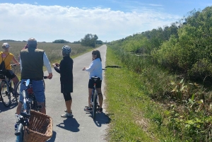 Miami: Everglades E-Bike Exploration with Airboat.