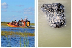 Miami: Everglades Airboat and Wildlife Reserve