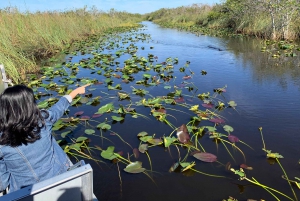 Miami: Everglades Airboat and Wildlife Reserve